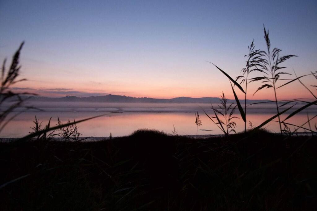 Shorepark - Waterfront Cottage With Stunning Views Dumfries Eksteriør bilde