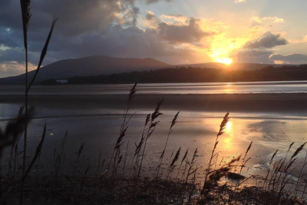 Shorepark - Waterfront Cottage With Stunning Views Dumfries Eksteriør bilde